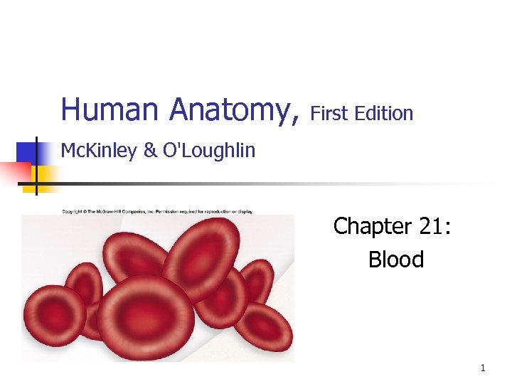 Human Anatomy, First Edition Mc. Kinley & O'Loughlin Chapter 21: Blood 1 