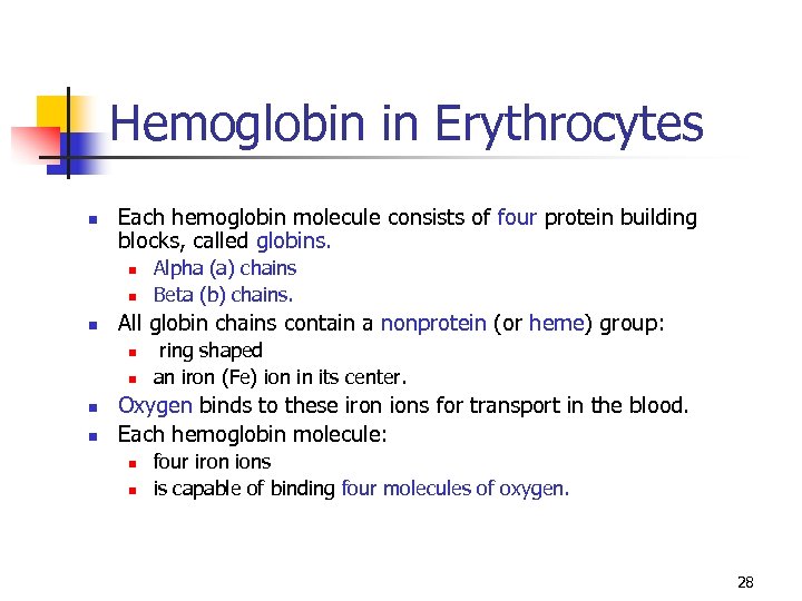 Hemoglobin in Erythrocytes n Each hemoglobin molecule consists of four protein building blocks, called