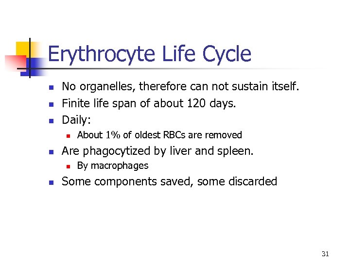 Erythrocyte Life Cycle n n n No organelles, therefore can not sustain itself. Finite