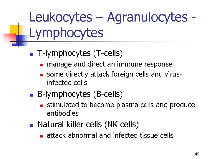 Leukocytes – Agranulocytes Lymphocytes n T-lymphocytes (T-cells) n n n B-lymphocytes (B-cells) n n