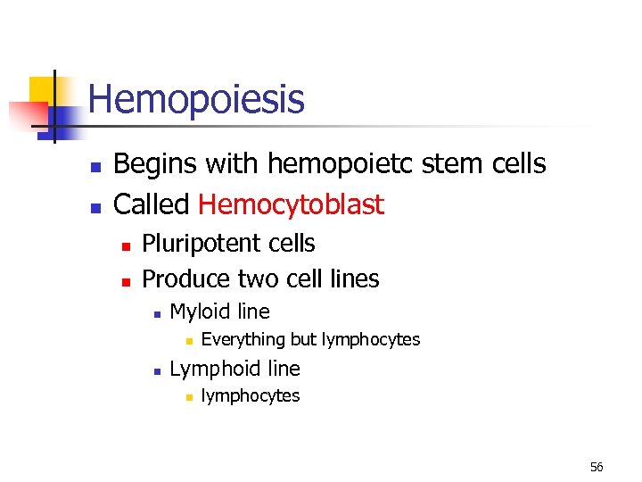 Hemopoiesis n n Begins with hemopoietc stem cells Called Hemocytoblast n n Pluripotent cells