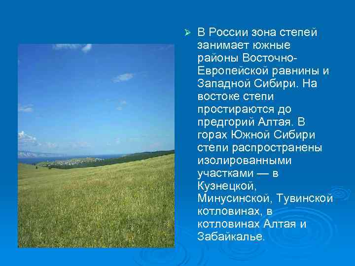 Какие территории россии занимает зона степи. Доклад про степь. Зона степей презентация. Интересное о степях.