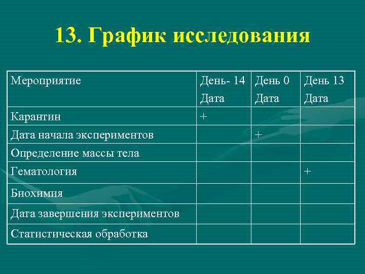 13. График исследования Мероприятие Карантин Дата начала экспериментов Определение массы тела Гематология Биохимия Дата