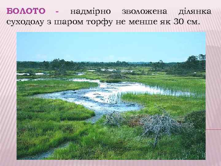 БОЛОТО - надмірно зволожена ділянка суходолу з шаром торфу не менше як 30 см.