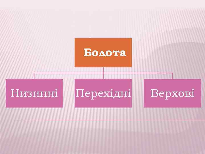 Болота Низинні Перехідні Верхові 