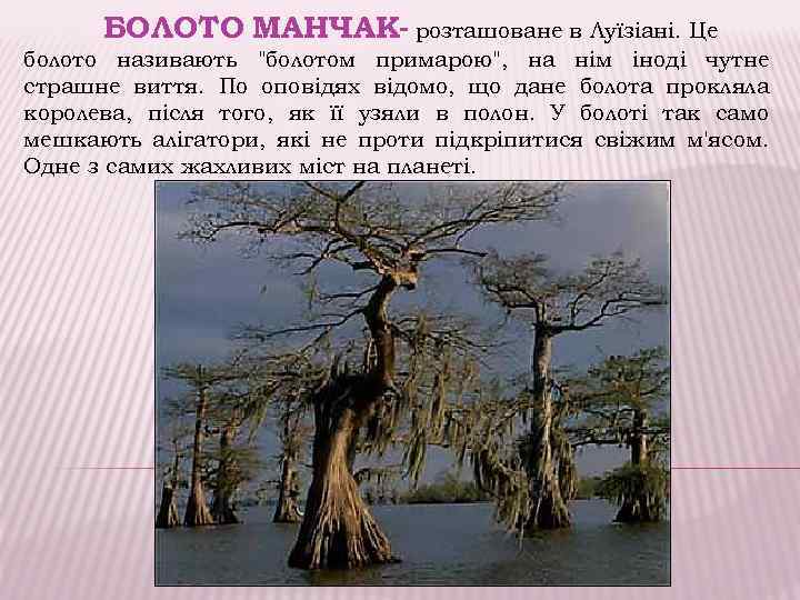 БОЛОТО МАНЧАК- розташоване в Луїзіані. Це болото називають "болотом примарою", на нім іноді чутне