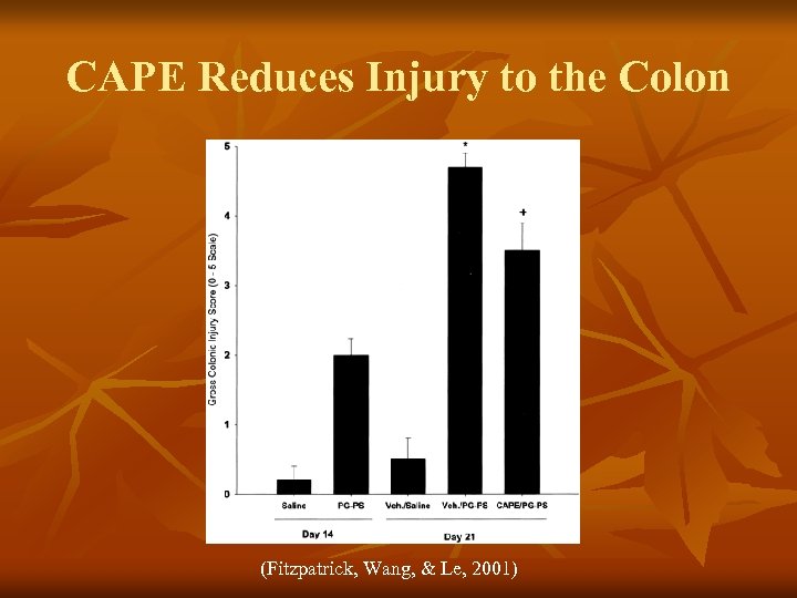 CAPE Reduces Injury to the Colon (Fitzpatrick, Wang, & Le, 2001) 