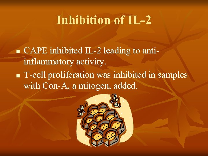 Inhibition of IL-2 n n CAPE inhibited IL-2 leading to antiinflammatory activity. T-cell proliferation