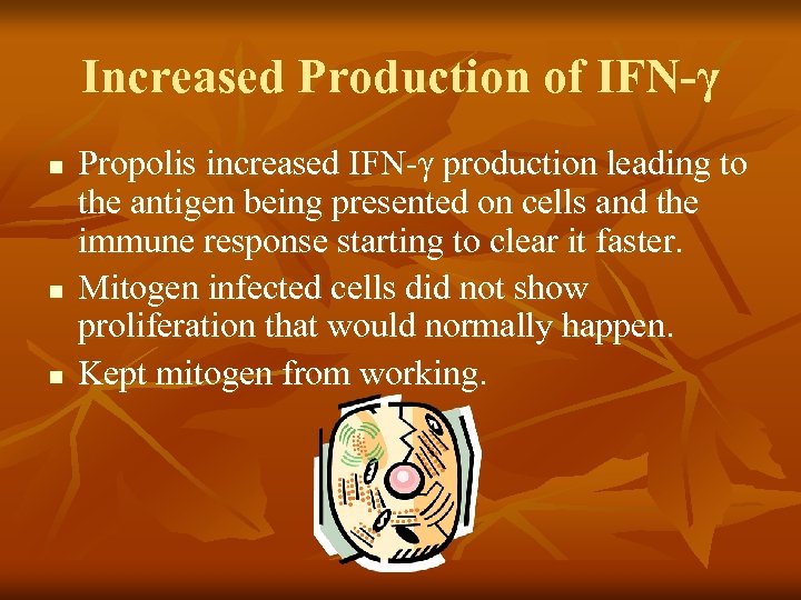 Increased Production of IFN-γ n n n Propolis increased IFN-γ production leading to the