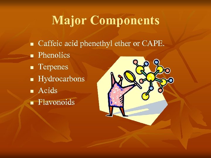 Major Components n n n Caffeic acid phenethyl ether or CAPE. Phenolics Terpenes Hydrocarbons