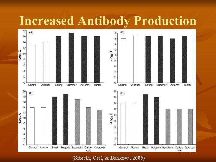 Increased Antibody Production (Sforcin, Orsi, & Bankova, 2005) 