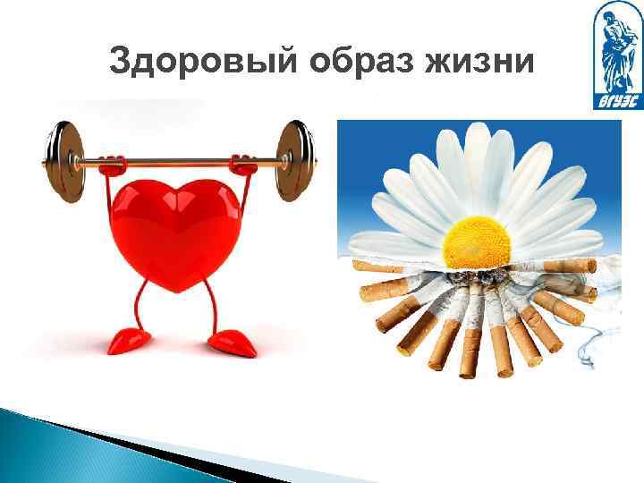 Здоровый образ жизни 