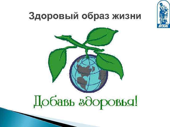 Здоровый образ жизни 