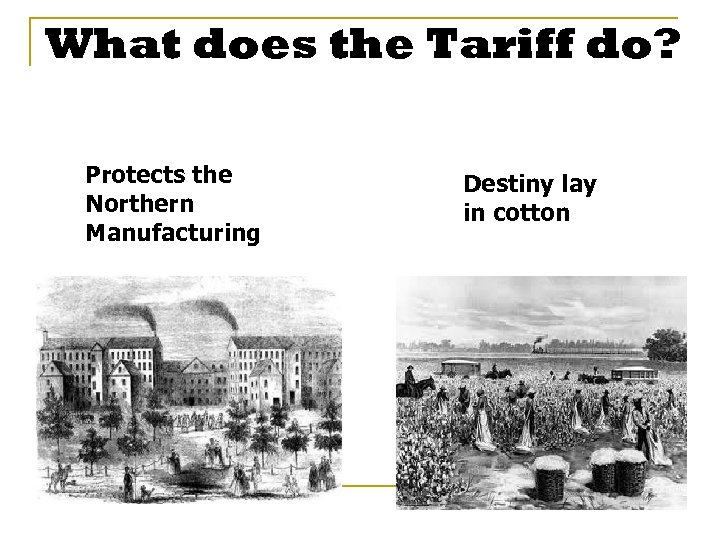 What does the Tariff do? Protects the Northern Manufacturing Destiny lay in cotton 