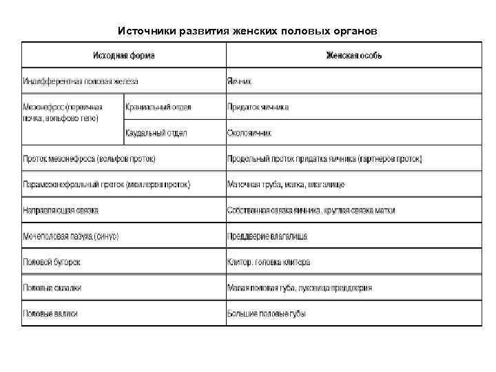 Источники развития женских половых органов 