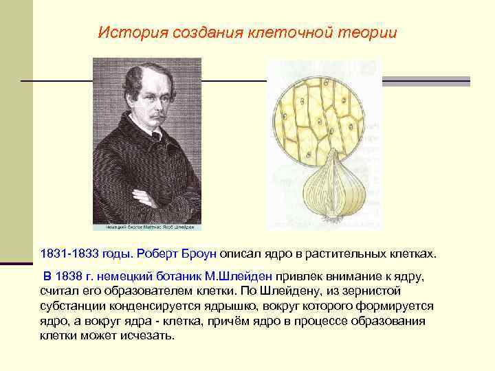 История создания клеточной теории 1831 -1833 годы. Роберт Броун описал ядро в растительных клетках.