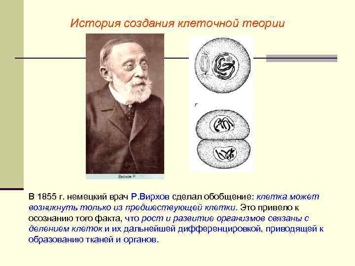 История создания клеточной теории В 1855 г. немецкий врач Р. Вирхов сделал обобщение: клетка