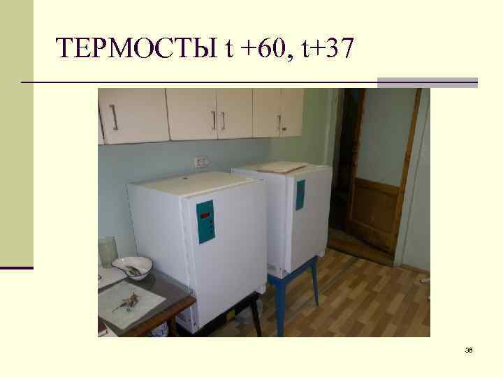 ТЕРМОСТЫ t +60, t+37 38 