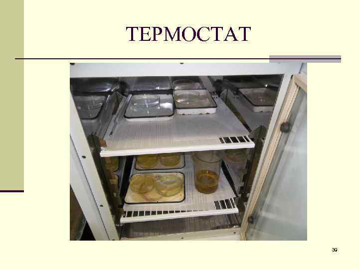 ТЕРМОСТАТ 39 