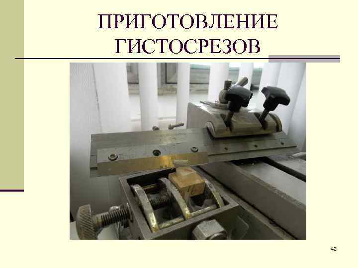ПРИГОТОВЛЕНИЕ ГИСТОСРЕЗОВ 42 
