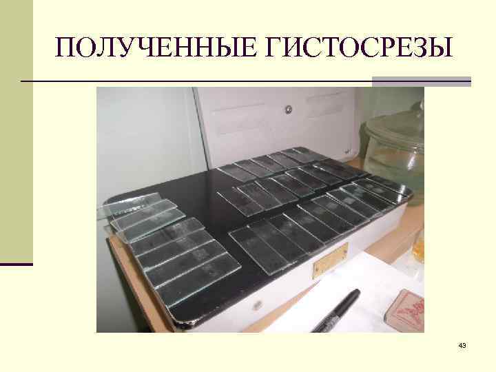 ПОЛУЧЕННЫЕ ГИСТОСРЕЗЫ 43 