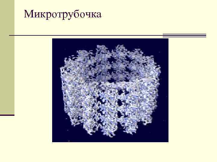 Микротрубочка 