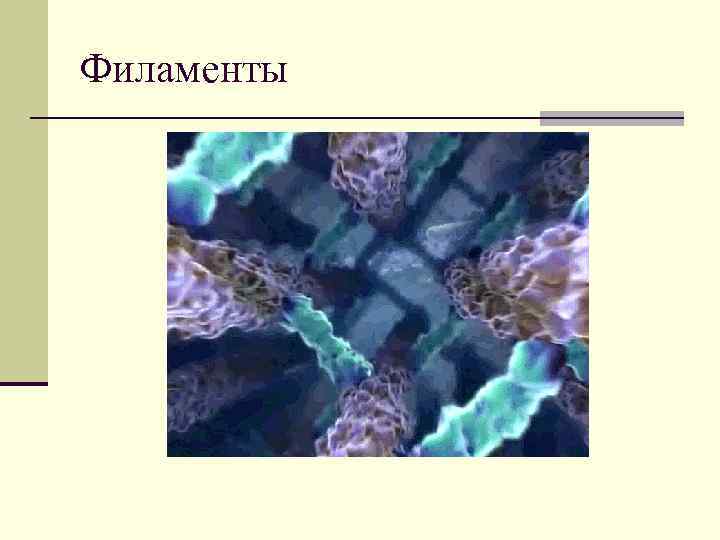 Филаменты 