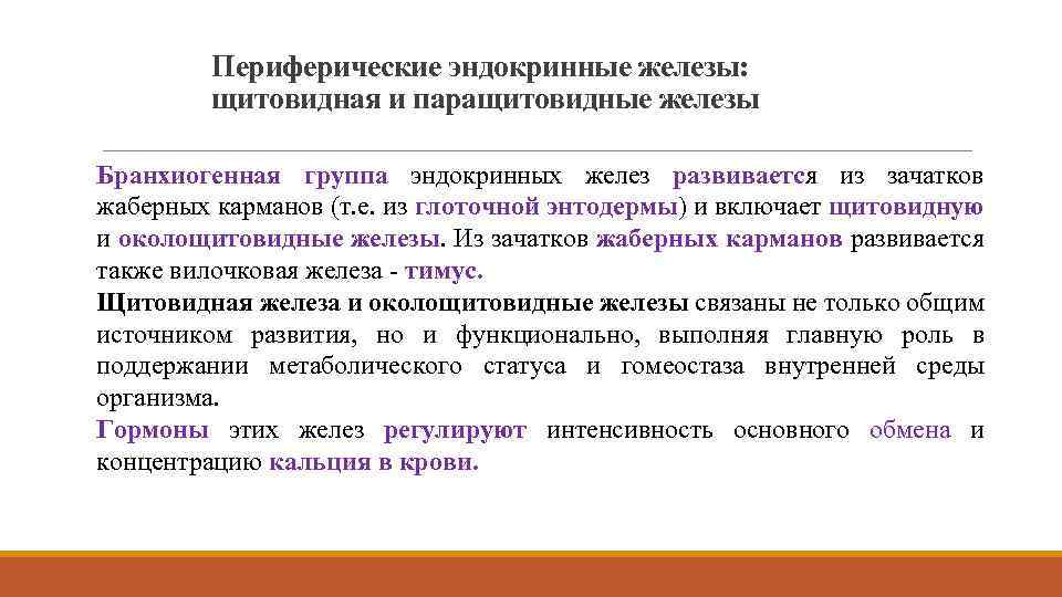 Периферические эндокринные железы: щитовидная и паращитовидные железы Бранхиогенная группа эндокринных желез развивается из зачатков