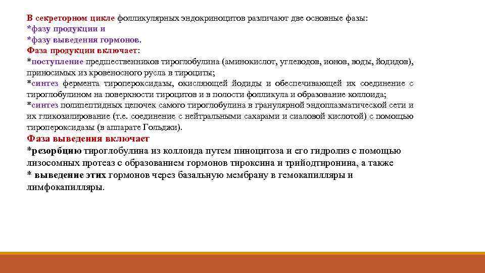 В секреторном цикле фолликулярных эндокриноцитов различают две основные фазы: *фазу продукции и *фазу выведения