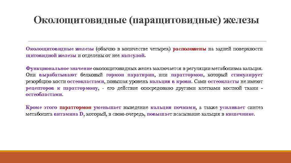 Околощитовидные (паращитовидные) железы Околощитовидные железы (обычно в количестве четырех) расположены на задней поверхности щитовидной