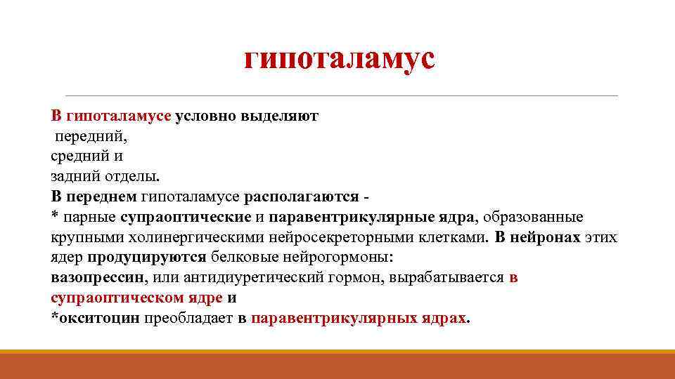 гипоталамус В гипоталамусе условно выделяют передний, средний и задний отделы. В переднем гипоталамусе располагаются