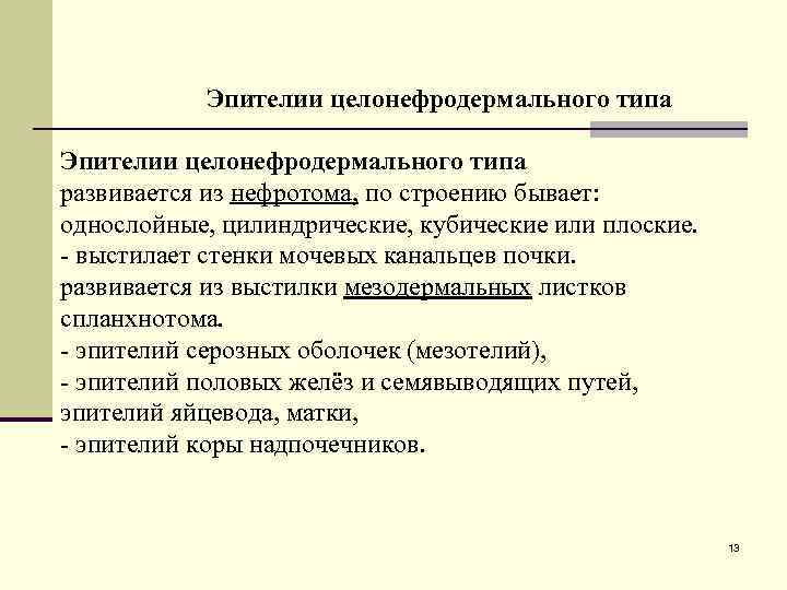 Эпителии целонефродермального типа развивается из нефротома, по строению бывает: однослойные, цилиндрические, кубические или плоские.