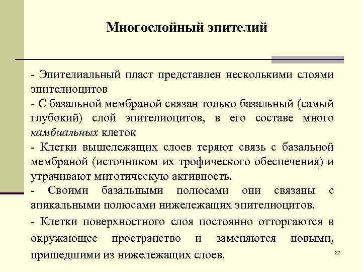 Многослойный эпителий - Эпителиальный пласт представлен несколькими слоями эпителиоцитов - С базальной мембраной связан