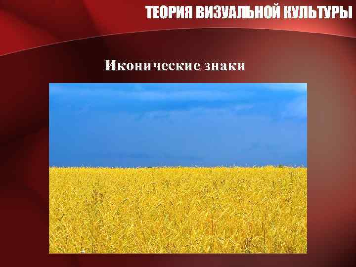 ТЕОРИЯ ВИЗУАЛЬНОЙ КУЛЬТУРЫ Иконические знаки 