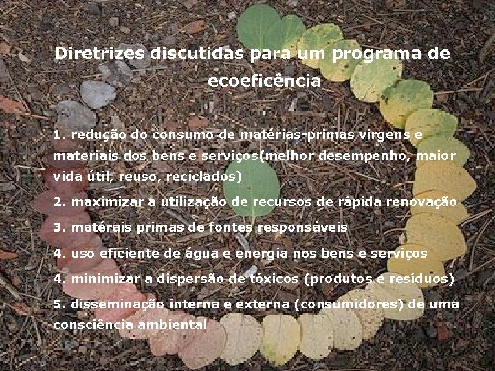 Ciclo de Vida dos Produtos - Construção Civil Diretrizes discutidas para um programa de