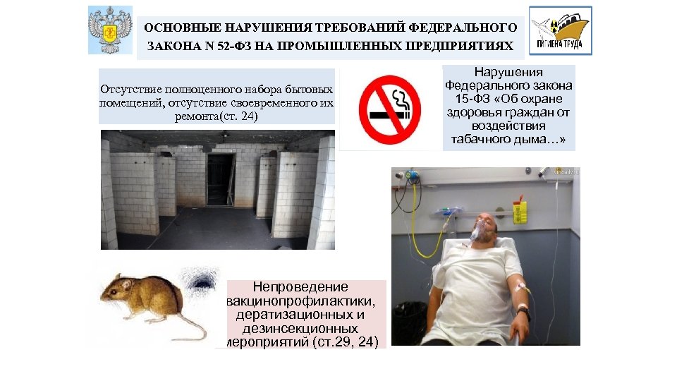 ОСНОВНЫЕ НАРУШЕНИЯ ТРЕБОВАНИЙ ФЕДЕРАЛЬНОГО ЗАКОНА N 52 -ФЗ НА ПРОМЫШЛЕННЫХ ПРЕДПРИЯТИЯХ Отсутствие полноценного набора