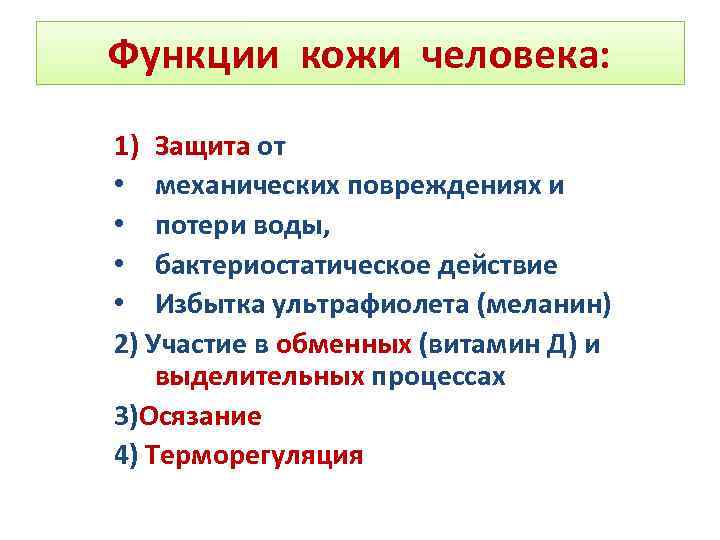 Функции кожи человека: 1) Защита от • механических повреждениях и • потери воды, •