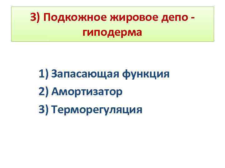 3) Подкожное жировое депо - гиподерма 1) Запасающая функция 2) Амортизатор 3) Терморегуляция 