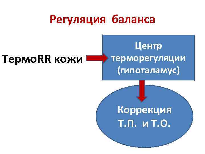 Регуляция баланса Центр терморегуляции Термо. RR кожи (гипоталамус) Коррекция Т. П. и Т. О.