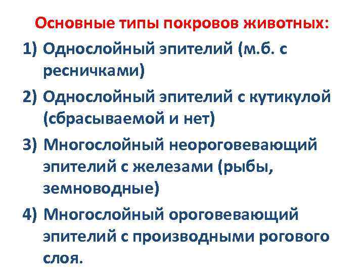 Основные типы покровов животных: 1) Однослойный эпителий (м. б. с ресничками) 2) Однослойный эпителий