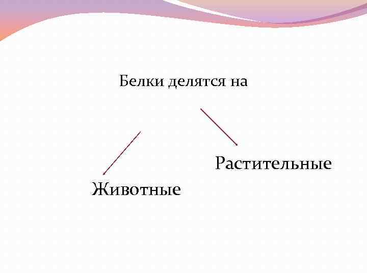 Белки делятся на Растительные Животные 