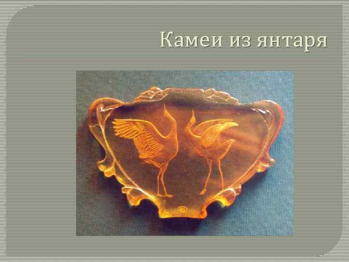 Камеи из янтаря 