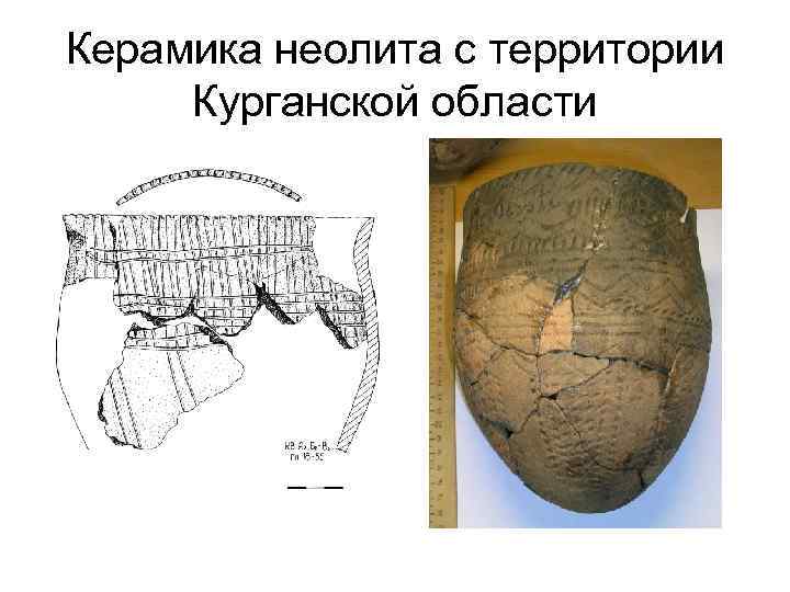 Укажите что стало основой жизни людей после неолитической революции