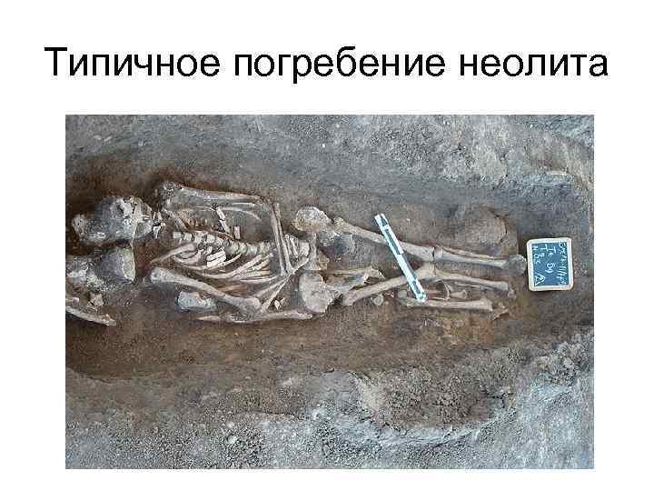 Типичное погребение неолита 