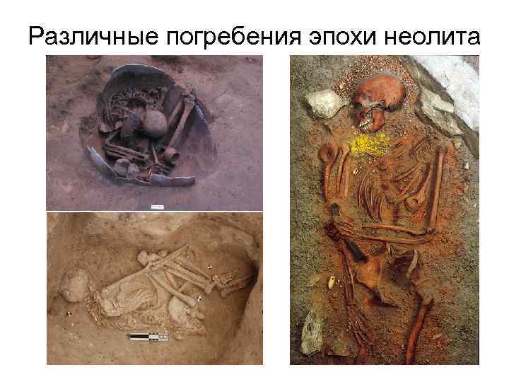 Различные погребения эпохи неолита 