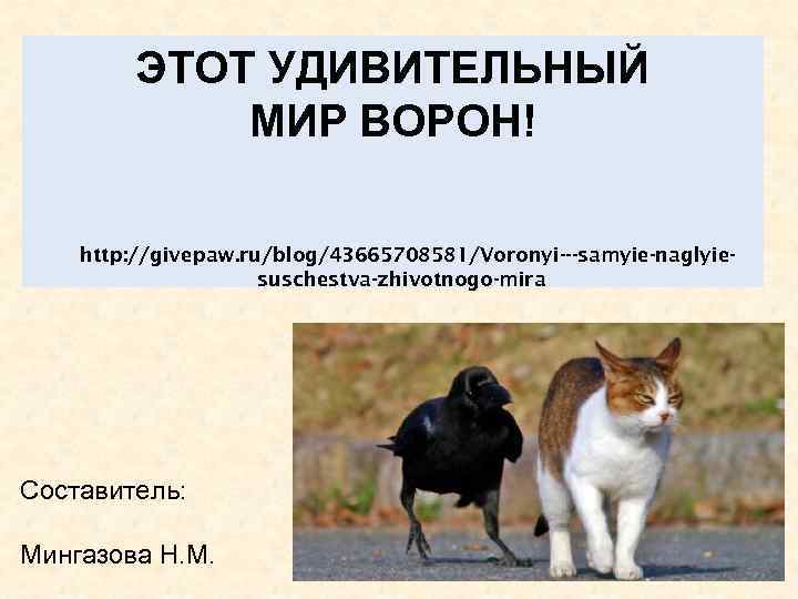 ЭТОТ УДИВИТЕЛЬНЫЙ МИР ВОРОН! http: //givepaw. ru/blog/43665708581/Voronyi---samyie-naglyiesuschestva-zhivotnogo-mira Составитель: Мингазова Н. М. 