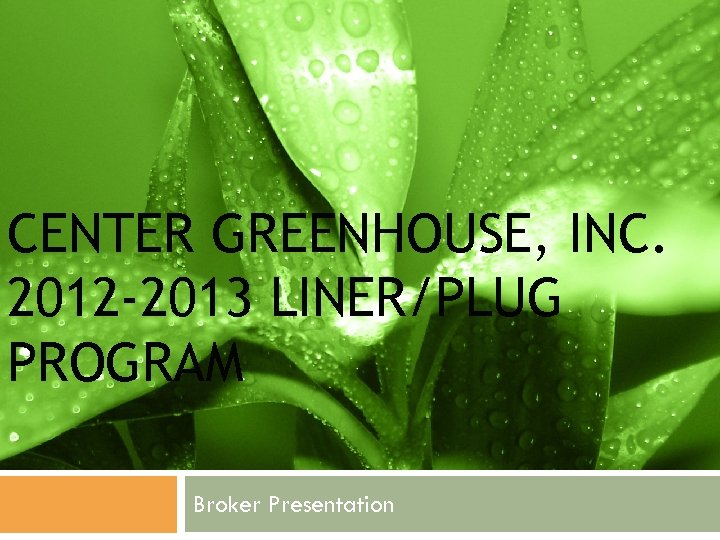 CENTER GREENHOUSE, INC. 2012 -2013 LINER/PLUG PROGRAM Broker Presentation 