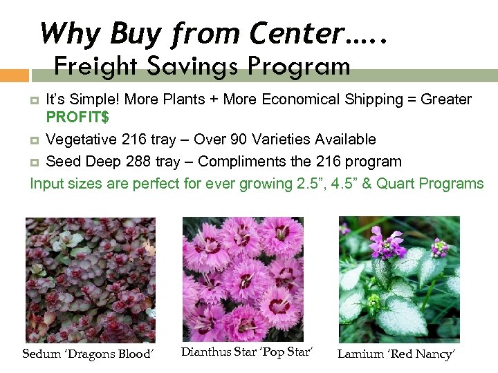 Why Buy from Center…. . Freight Savings Program It’s Simple! More Plants + More