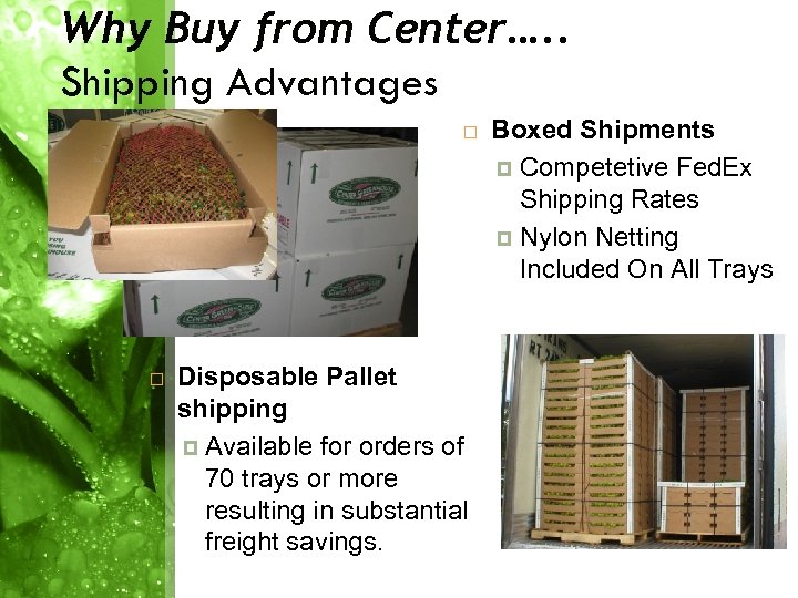 Why Buy from Center…. . Shipping Advantages Disposable Pallet shipping Available for orders of