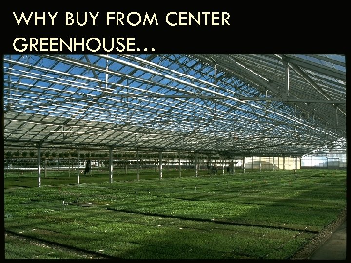 WHY BUY FROM CENTER GREENHOUSE… 